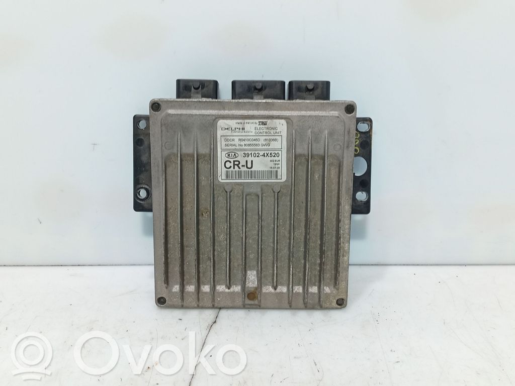 KIA Carnival Engine control unit/module 