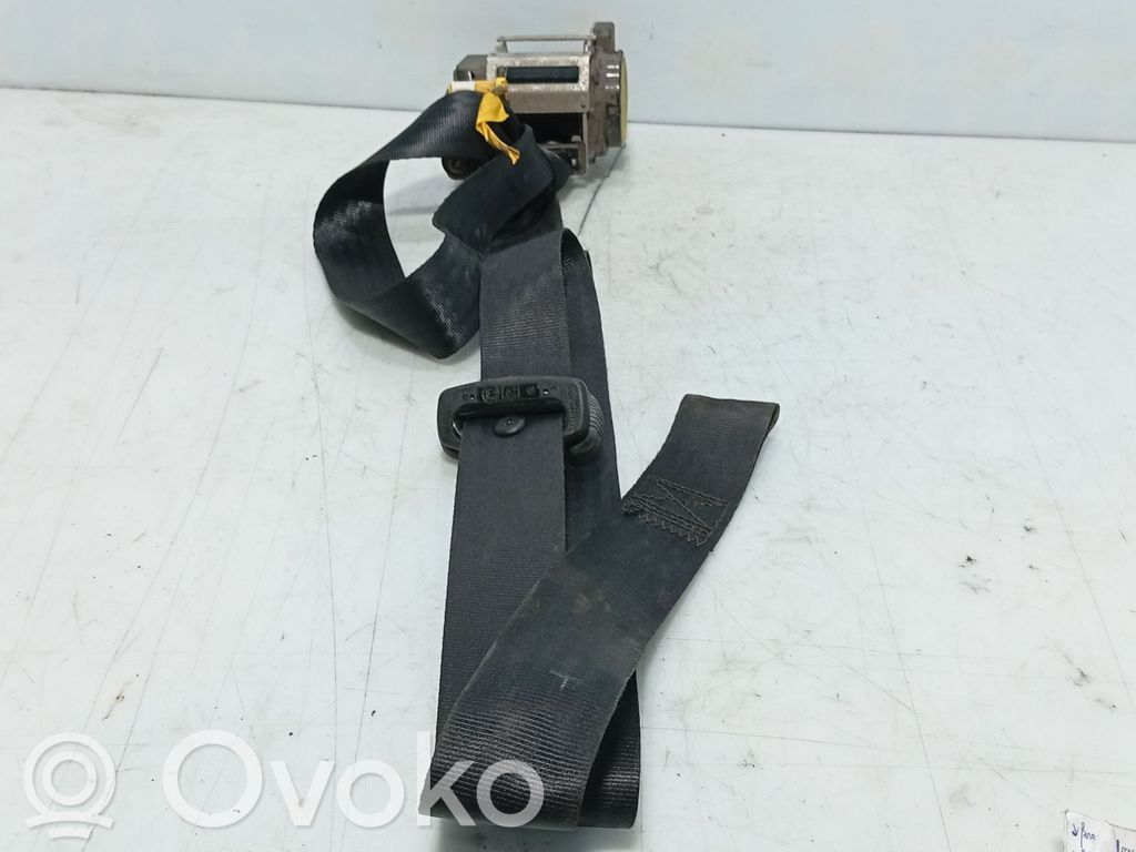 Cinturón delantero   735420952
