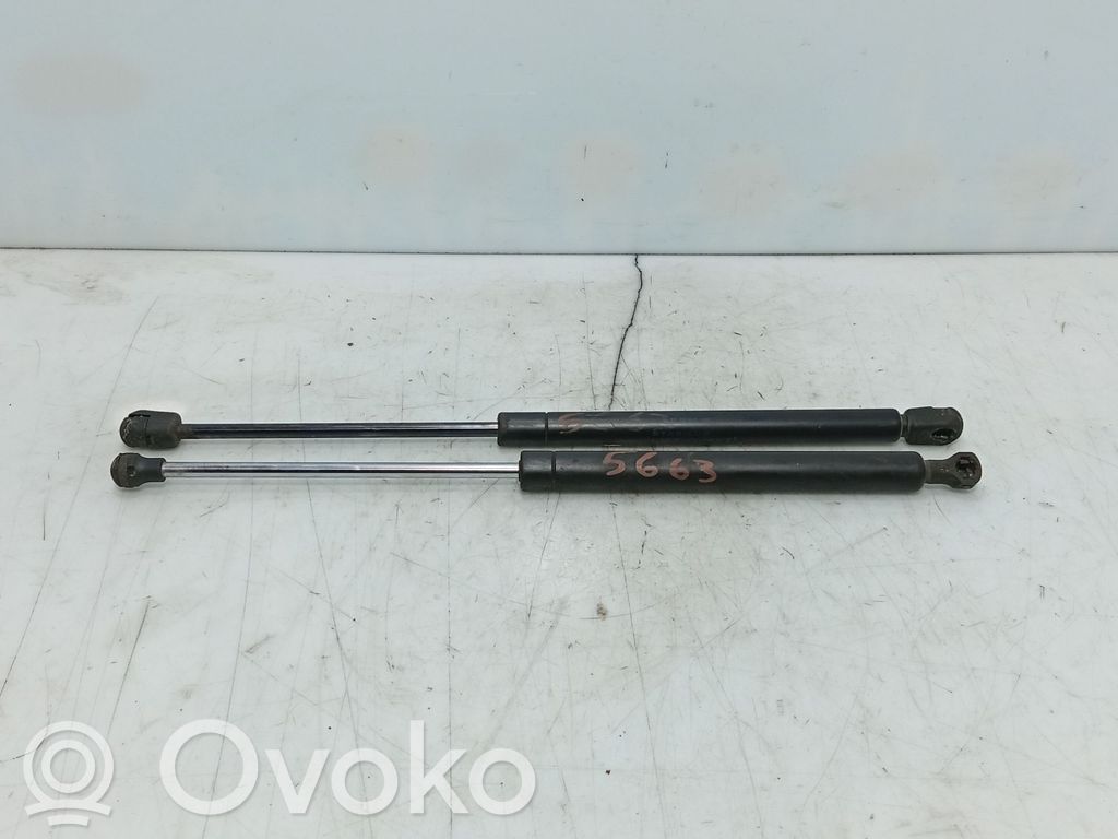 Renault Twingo II Ammortizzatore portellone posteriore/bagagliaio 
