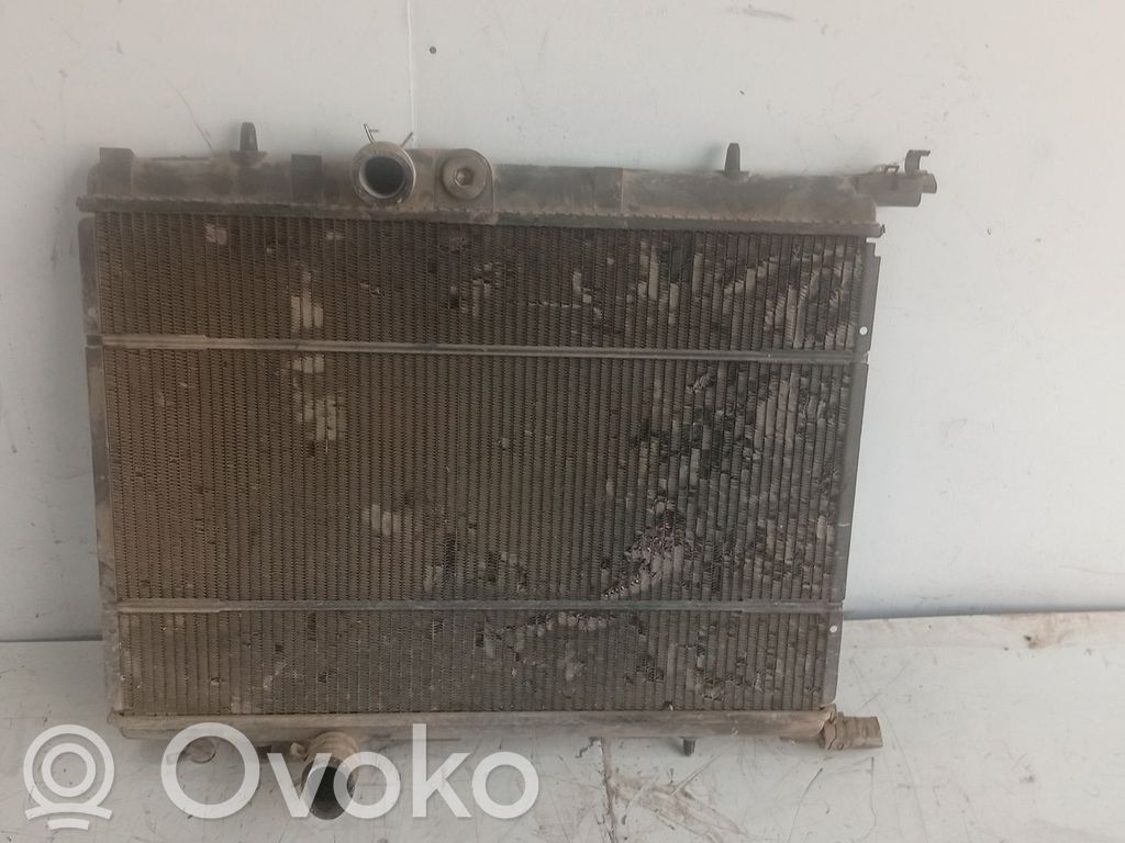 Radiatore di raffreddamento   1253C8