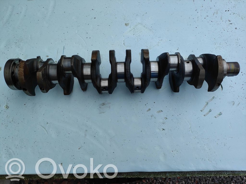 Crankshaft   7790913