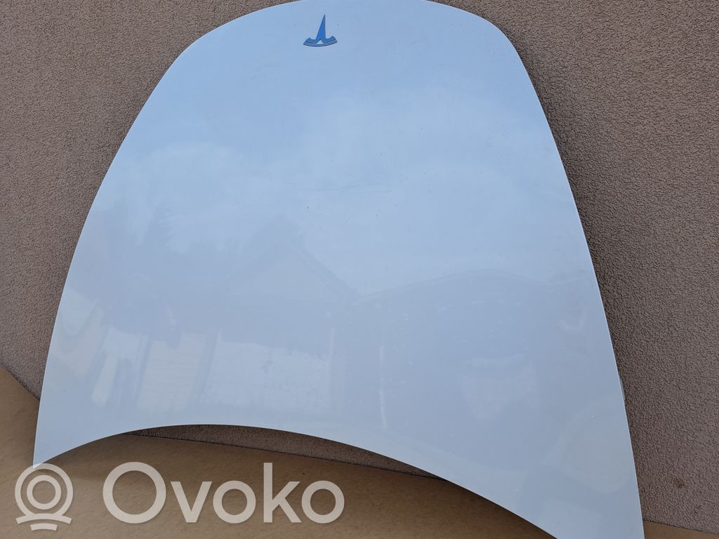 Engine bonnet/hood