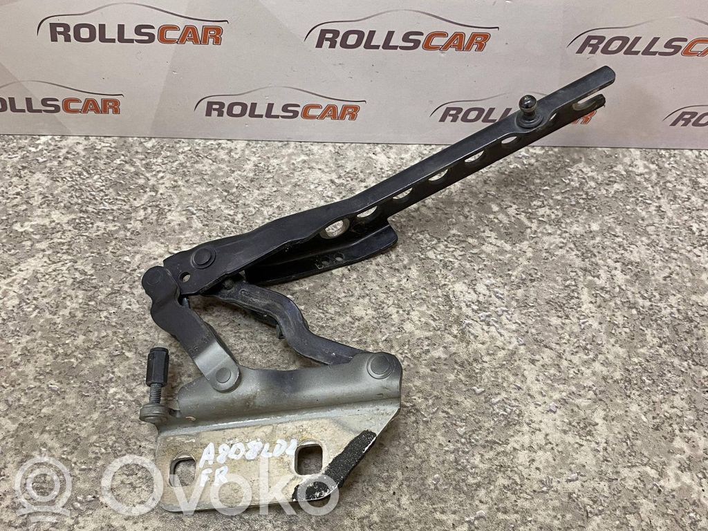 Audi A8 S8 D3 4E Engine bonnet/hood hinges 