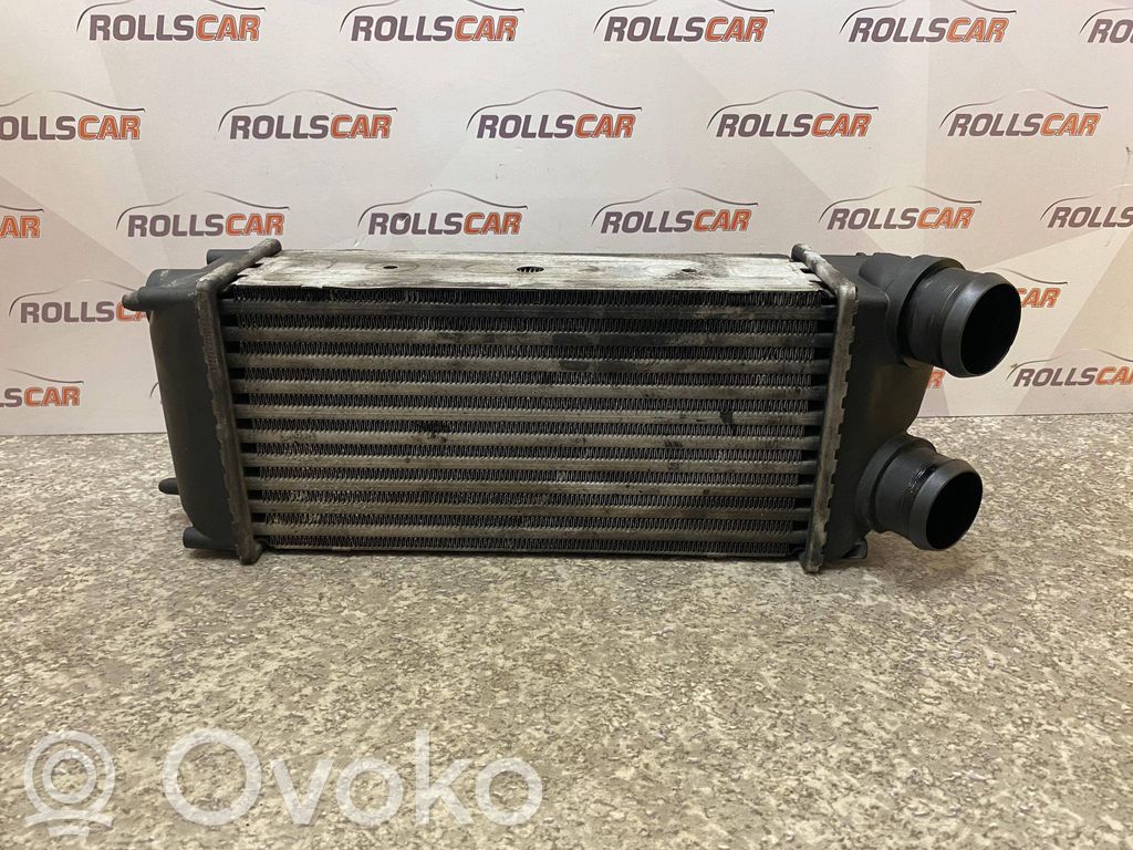 Peugeot 307 Oro nukreipėjas/ kanalas interkūlerio radiatoriaus 