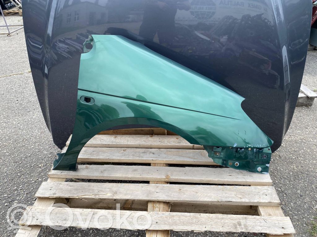 Renault Scenic I Sparnas 