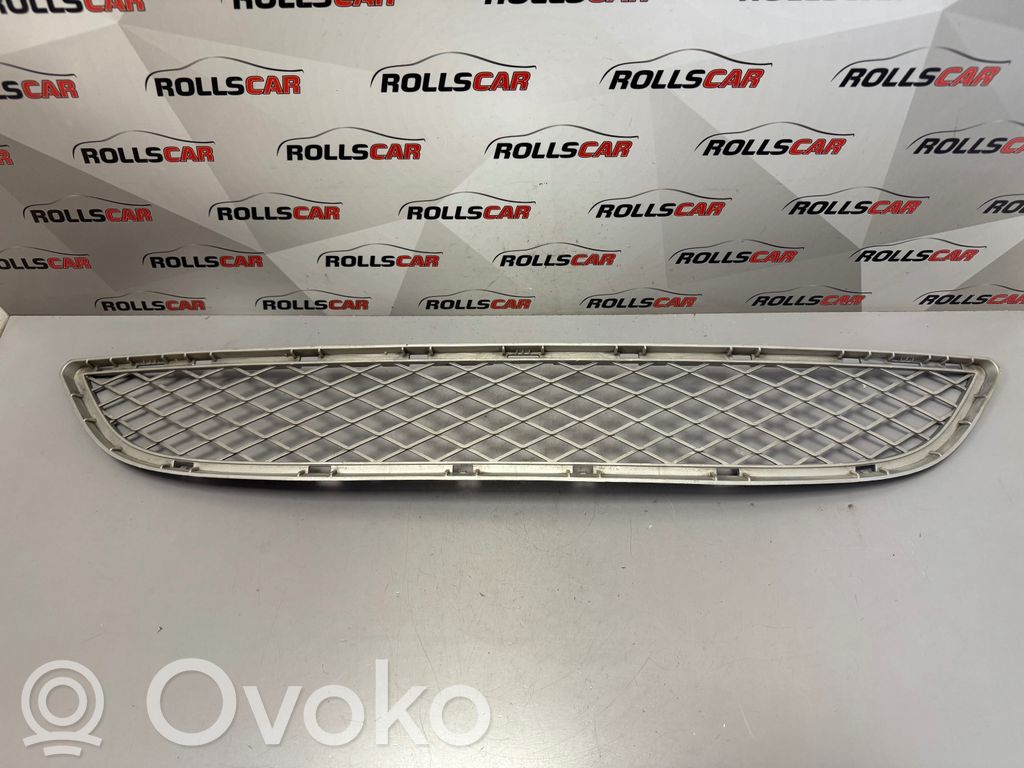 BMW X6 E71 Front bumper lower grill 
