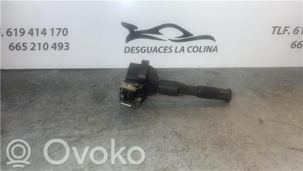 High voltage ignition coil   221504004