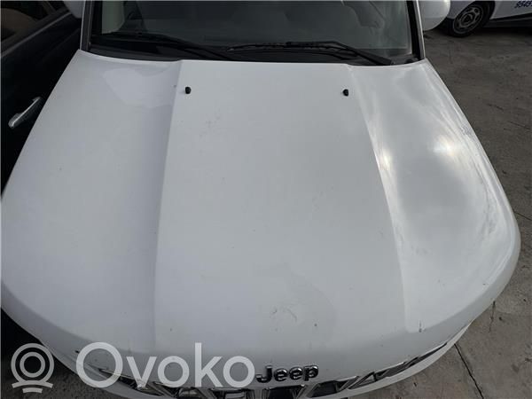 Engine bonnet/hood