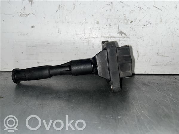 High voltage ignition coil   221504004