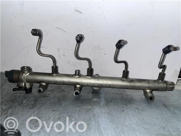 Rampa inyectora   445214075