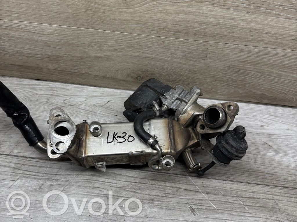 EGR dzesētājs   RH5610,P9466012