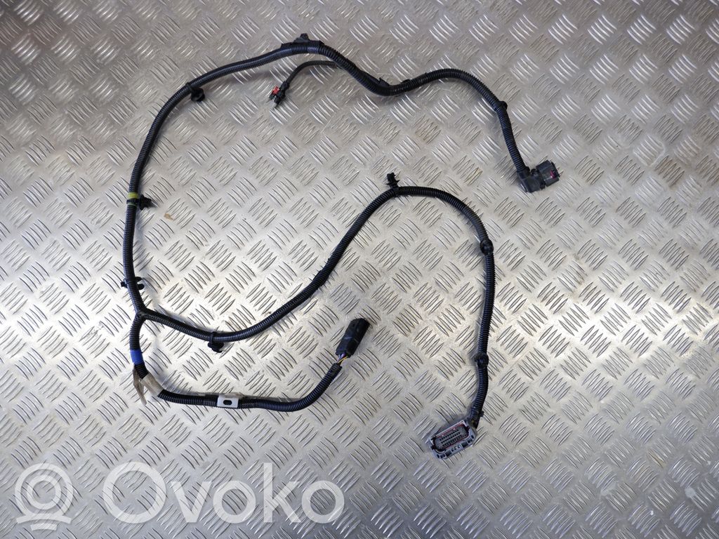 Other wiring loom   P148905101D,P148905101D