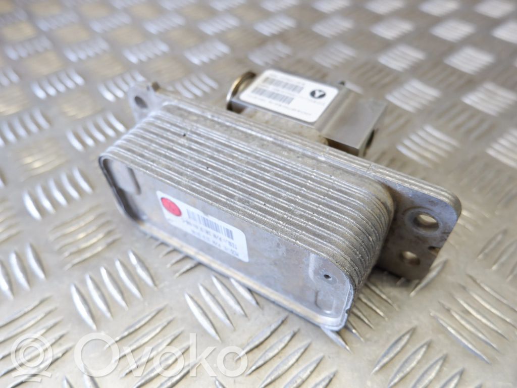 Tesla Model S Optional radiator 