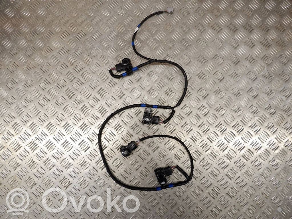 Cableado del sensor de aparcamiento (PDC)   8218348060,8934148010
