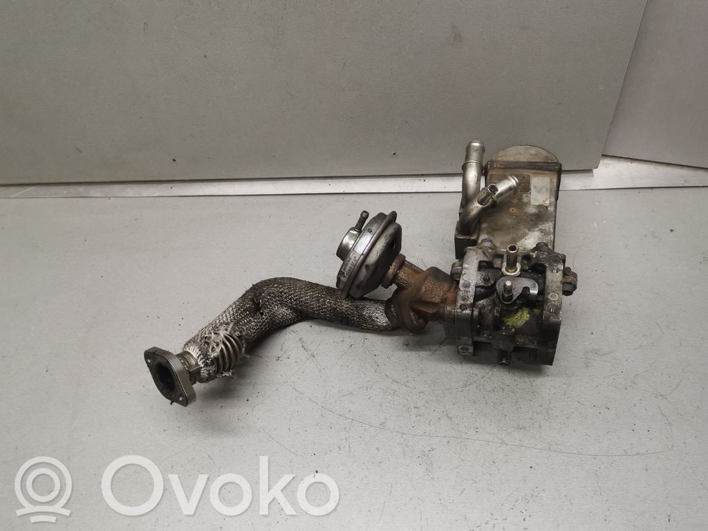Volkswagen Touareg I EGR valve 