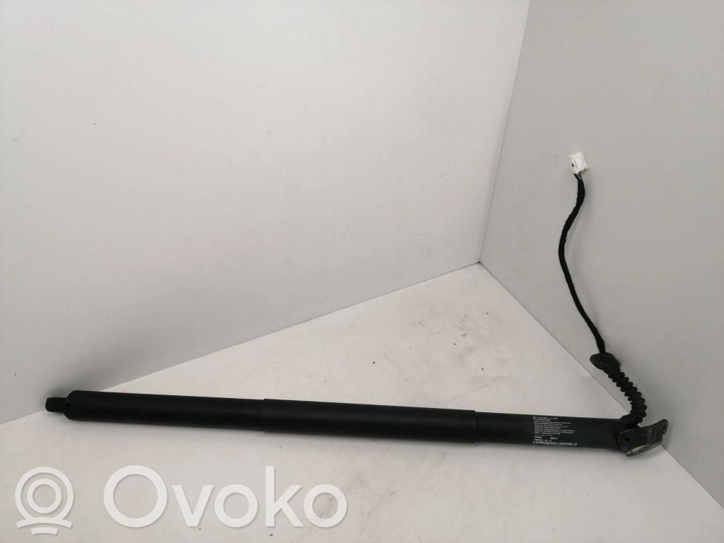 Tesla Model X Tailgate/trunk strut/damper 