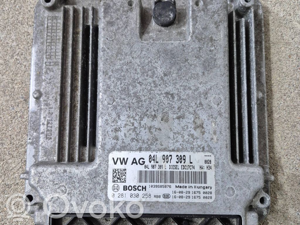 Engine control unit/module   04L907309L,0281030258