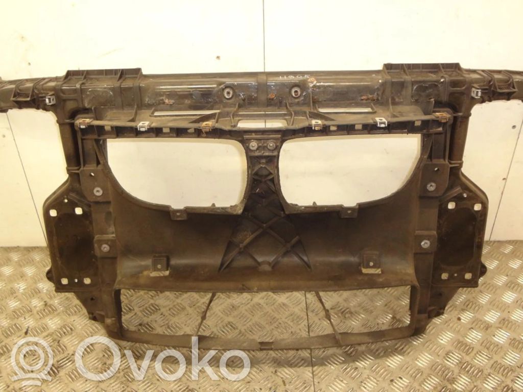 BMW 1 E81 E87 Radiatoru panelis 