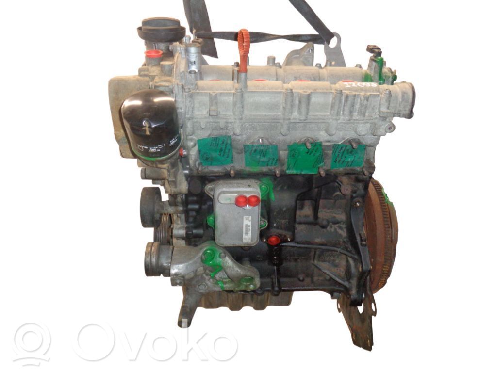 Skoda Octavia Mk2 (1Z) Motor 