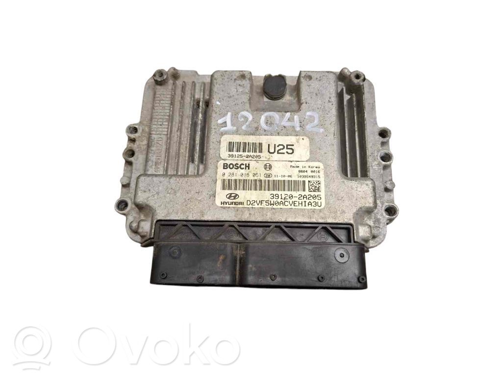 Engine control unit/module   0281018051,391202A205