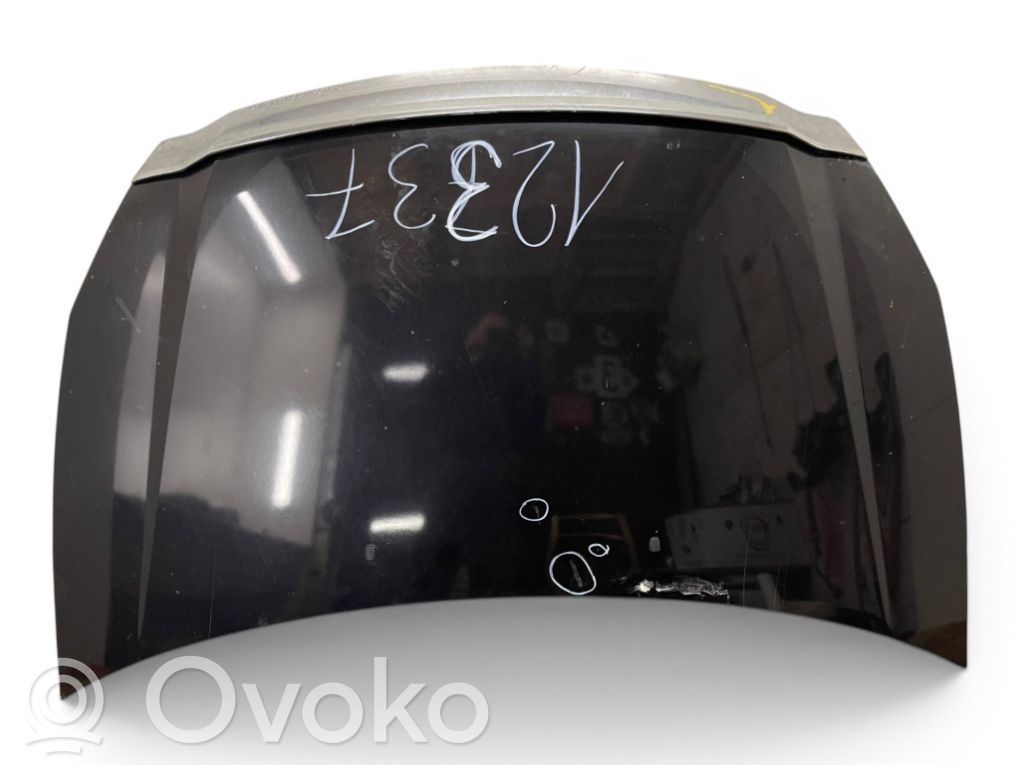 Dzinēja pārsegs (vāks)   664004D010