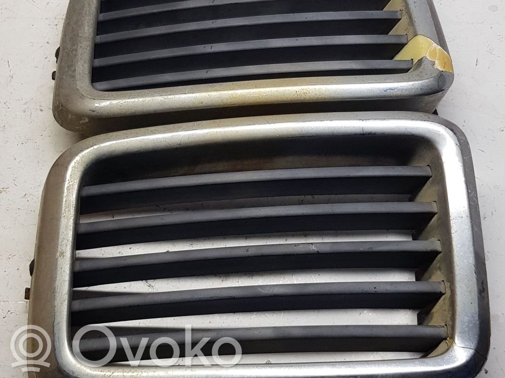 Front grill   51131873253