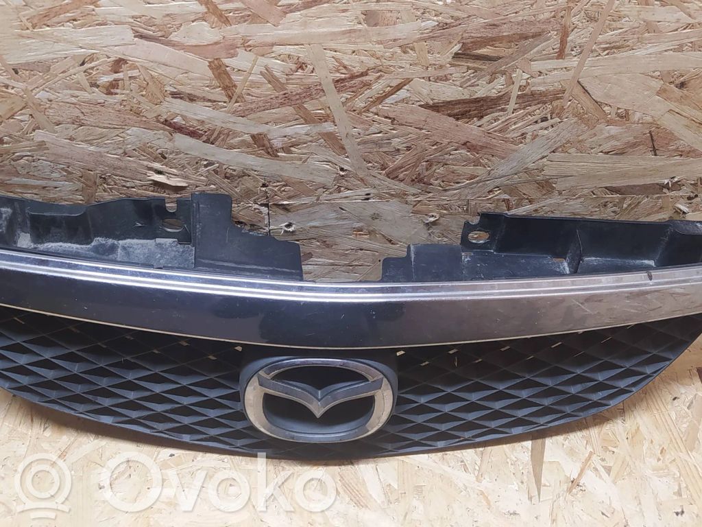 Front grill   C10050712