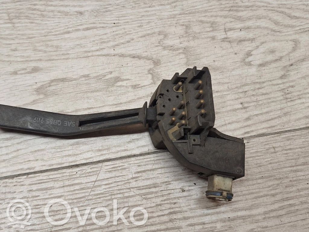 Indicator stalk   911920