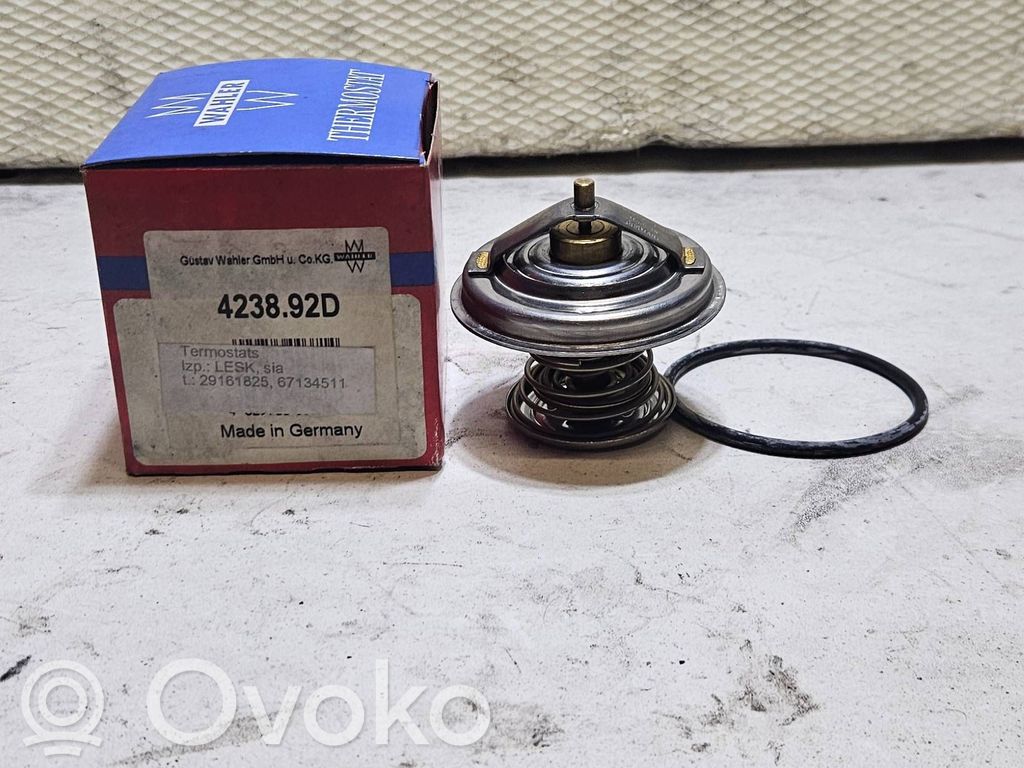 Thermostat   423892D,11531712043