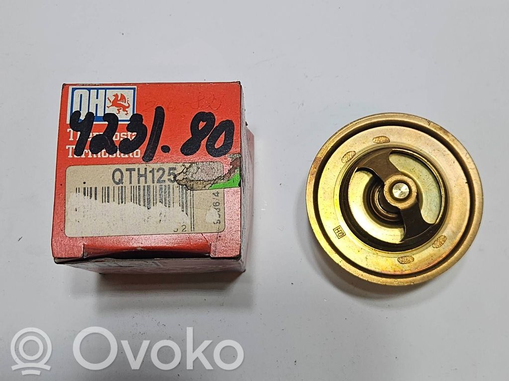 BMW 5 E28 Termostat 