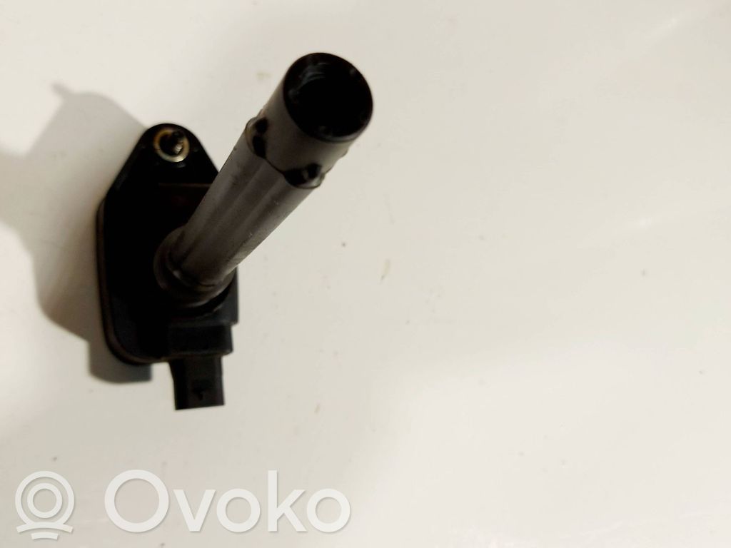 High voltage ignition coil   19224B0,20181122,0221504047