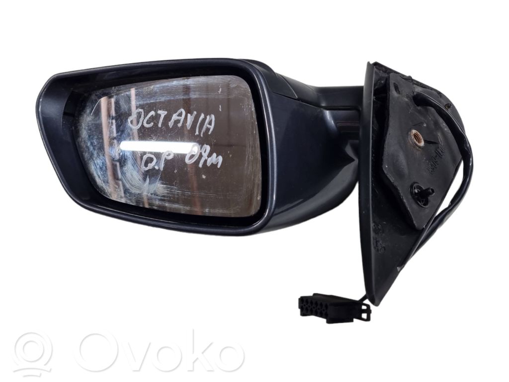 Skoda Octavia Mk2 (1Z) Front door electric wing mirror 