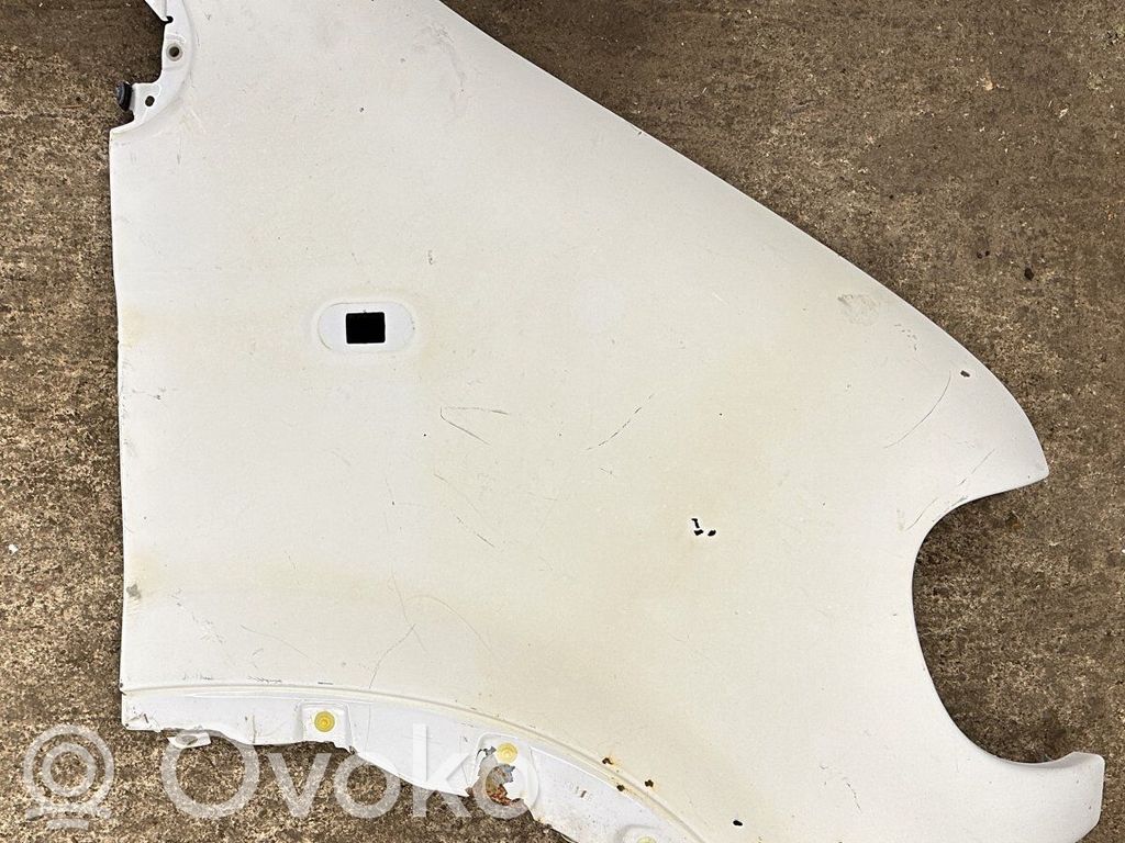 Fender