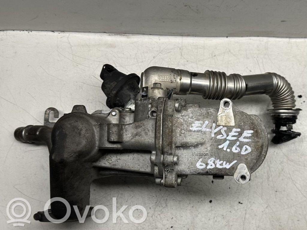 Citroen C-Elysée EGR aušintuvas 