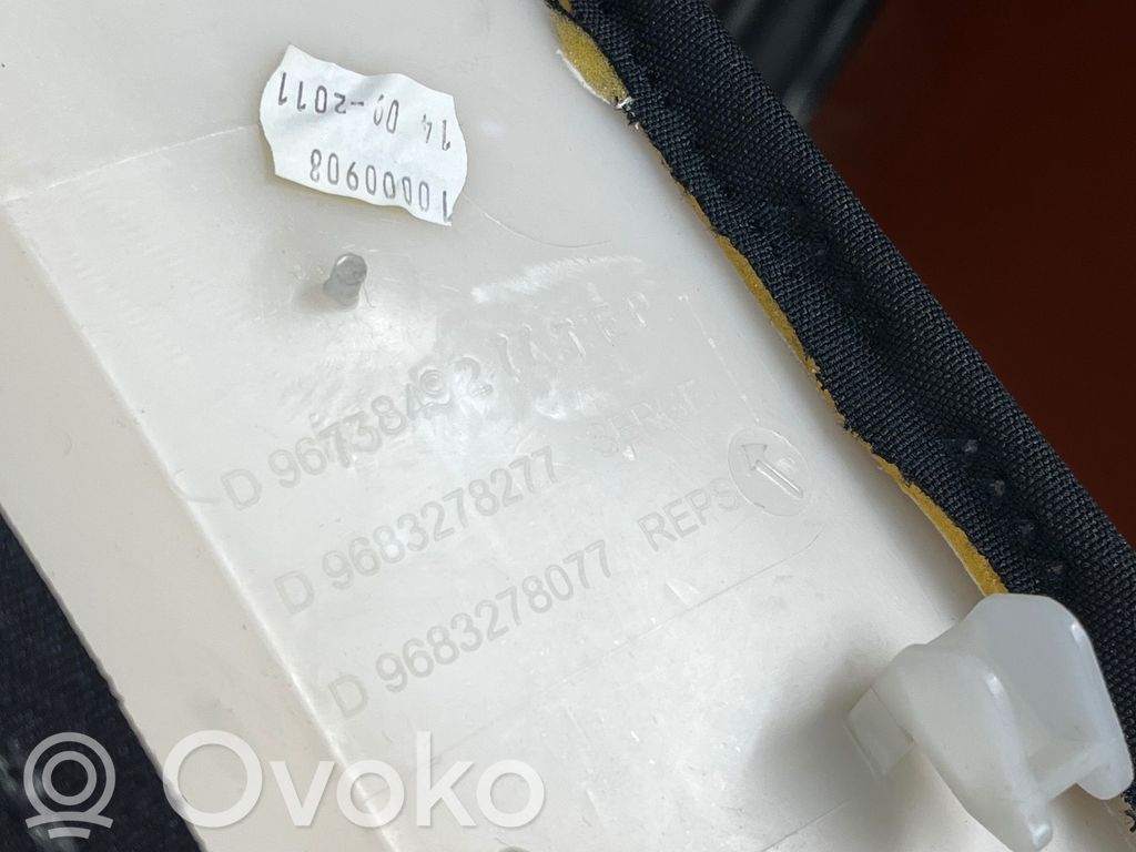 Citroen C5 Otras molduras del borde/pilar 