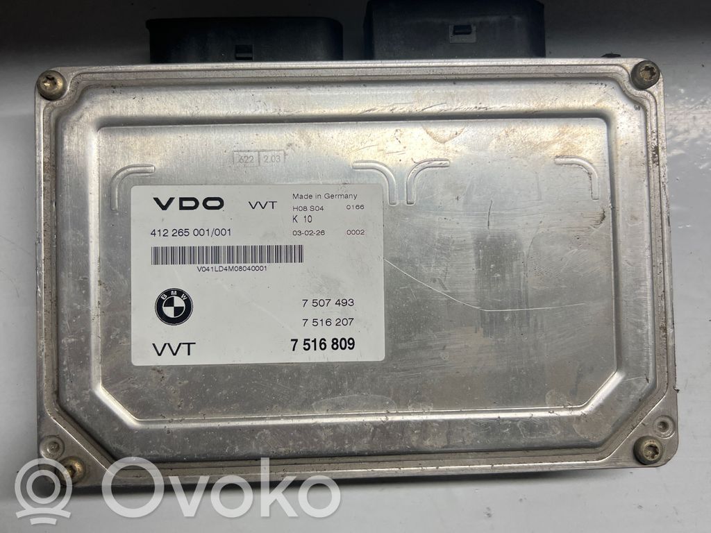Engine control unit/module   7507493,7516809,7516207