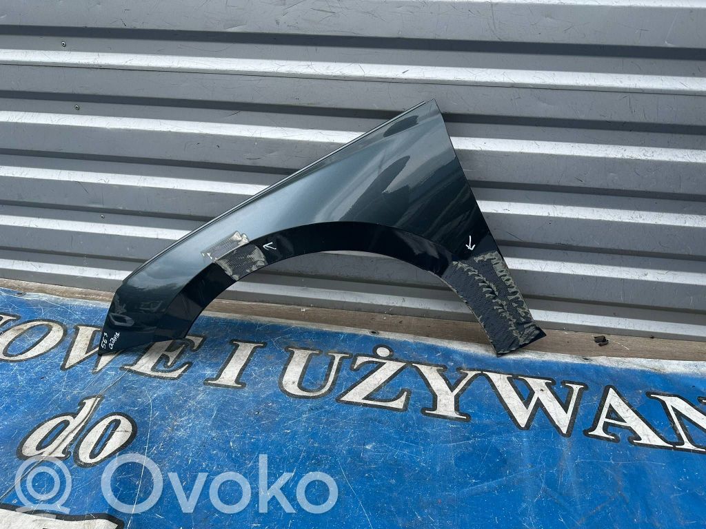 Skoda Octavia Mk4 Guardabarro 