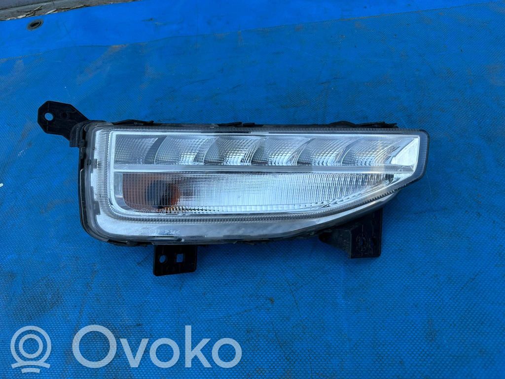 Światło przeciwmgłowe przednie   2GA941055C,2GA941055C,16013DRL6
