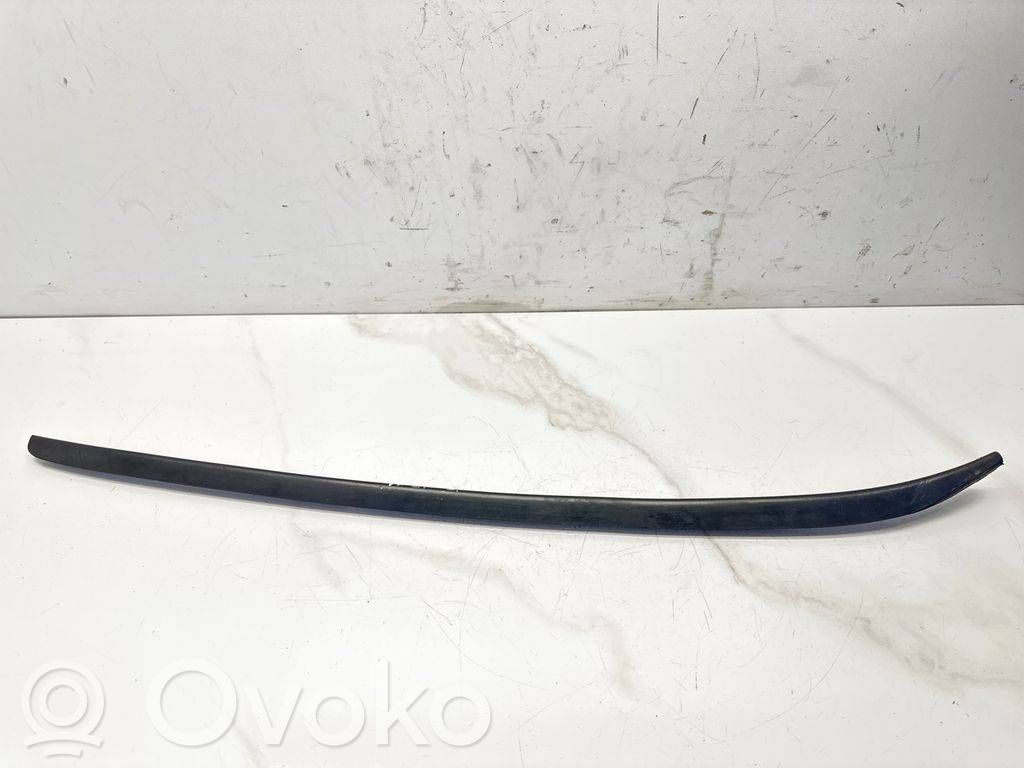 Windshield trim