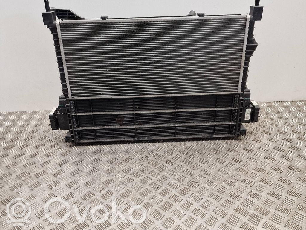 Mini Electric (Cooper SE) Set del radiatore 
