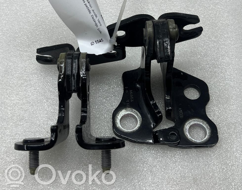Tesla Model 3 Rear door hinge set 