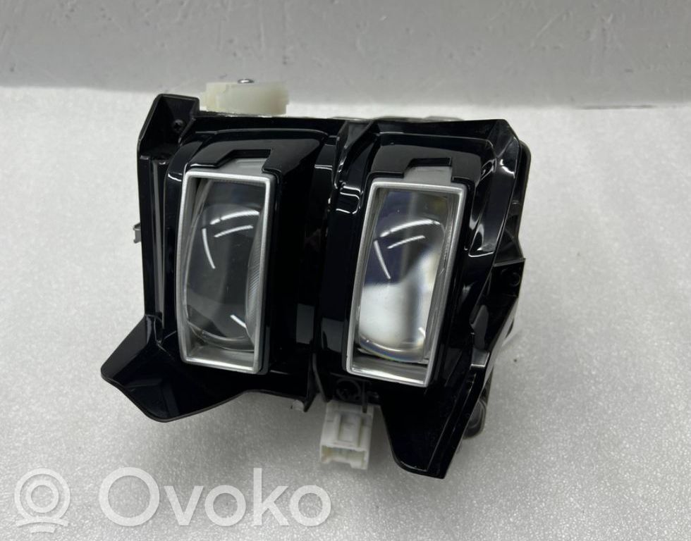 KIA Niro LED-Vorschaltgerät 