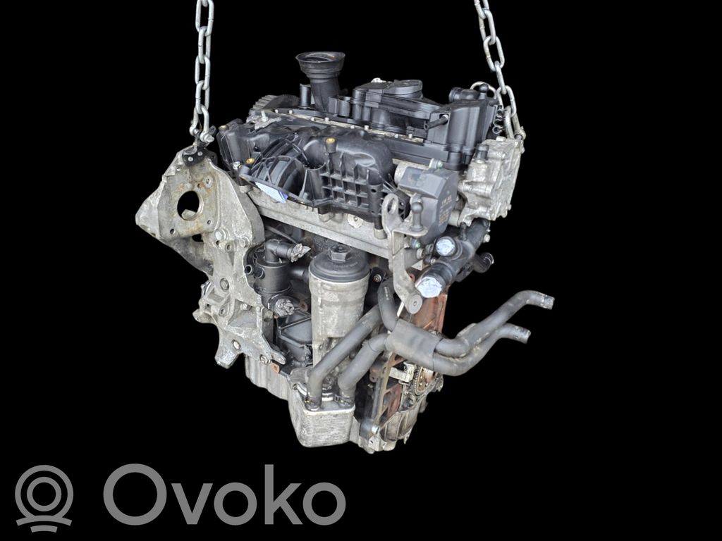 Engine   CBD