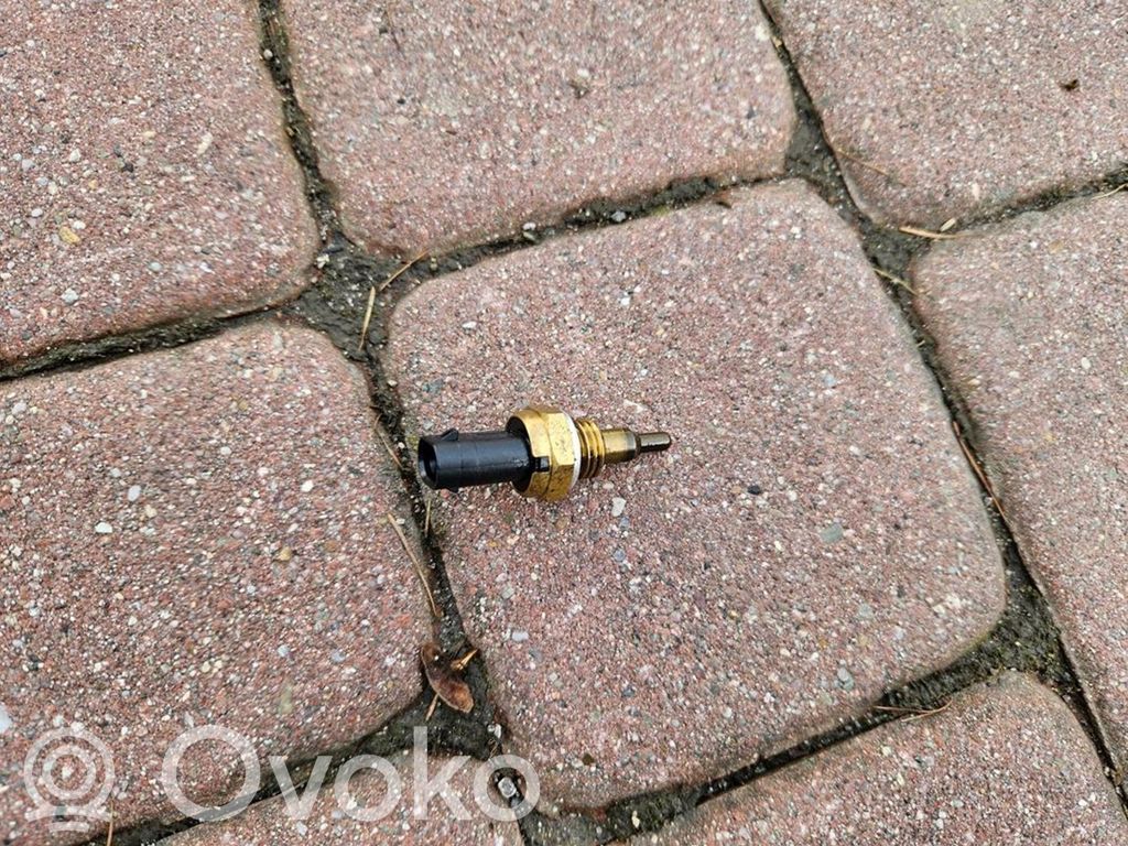 Audi Q5 SQ5 8R Sensor de temperatura del combustible 