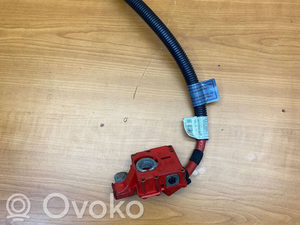 Positive cable (battery)   9217003,9217004,523577192
