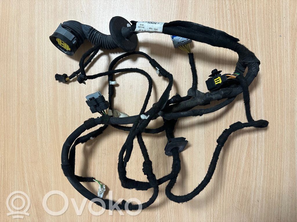 Citroen C5 Cableado de puerta delantera 