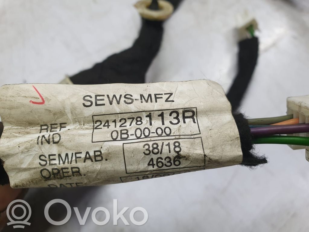 Cableado de puerta trasera   241278113R