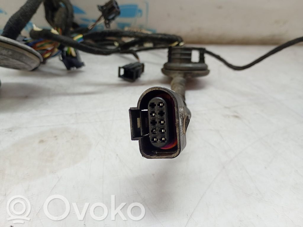 Audi Q7 4L Cableado de puerta delantera 