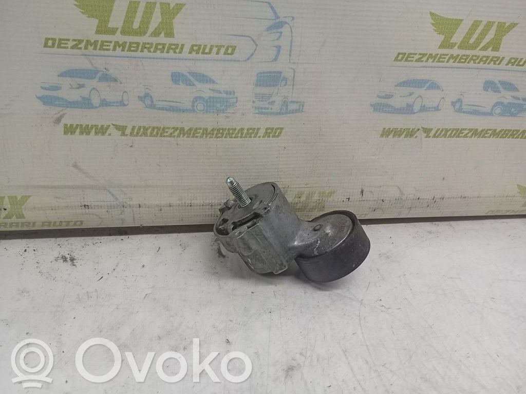 Suzuki SX4 S-Cross Alternator belt tensioner pulley 