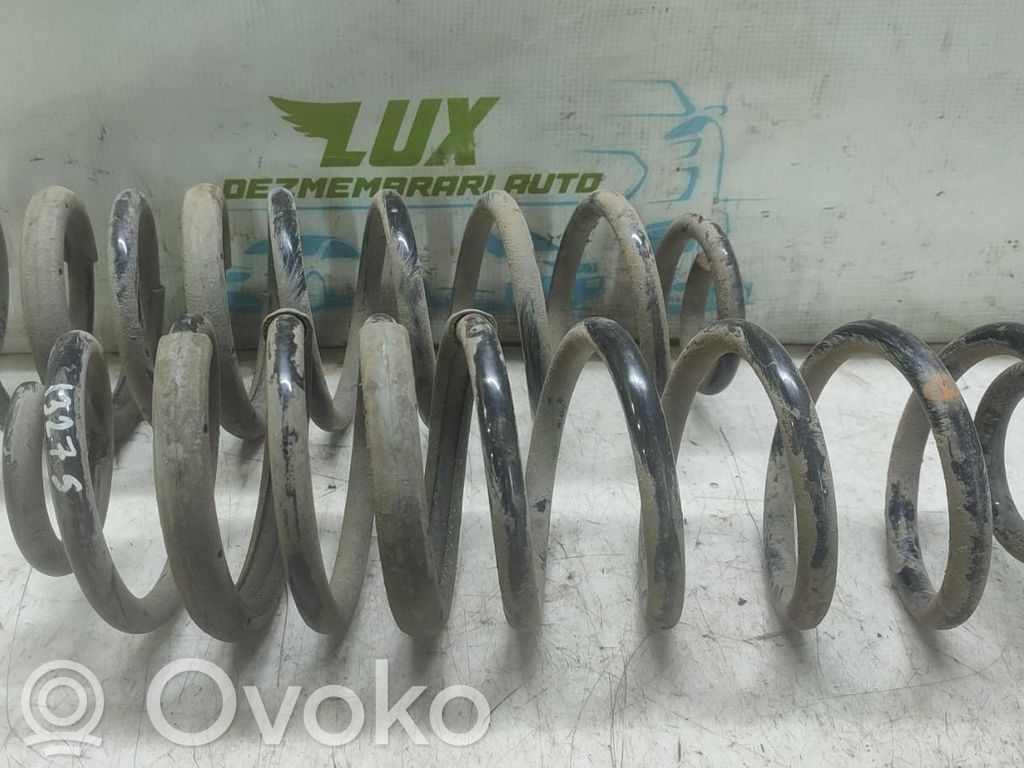 Rear coil spring